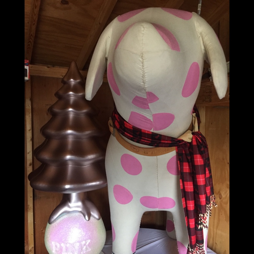 Vs pink dog Baby girl Charlie NFS